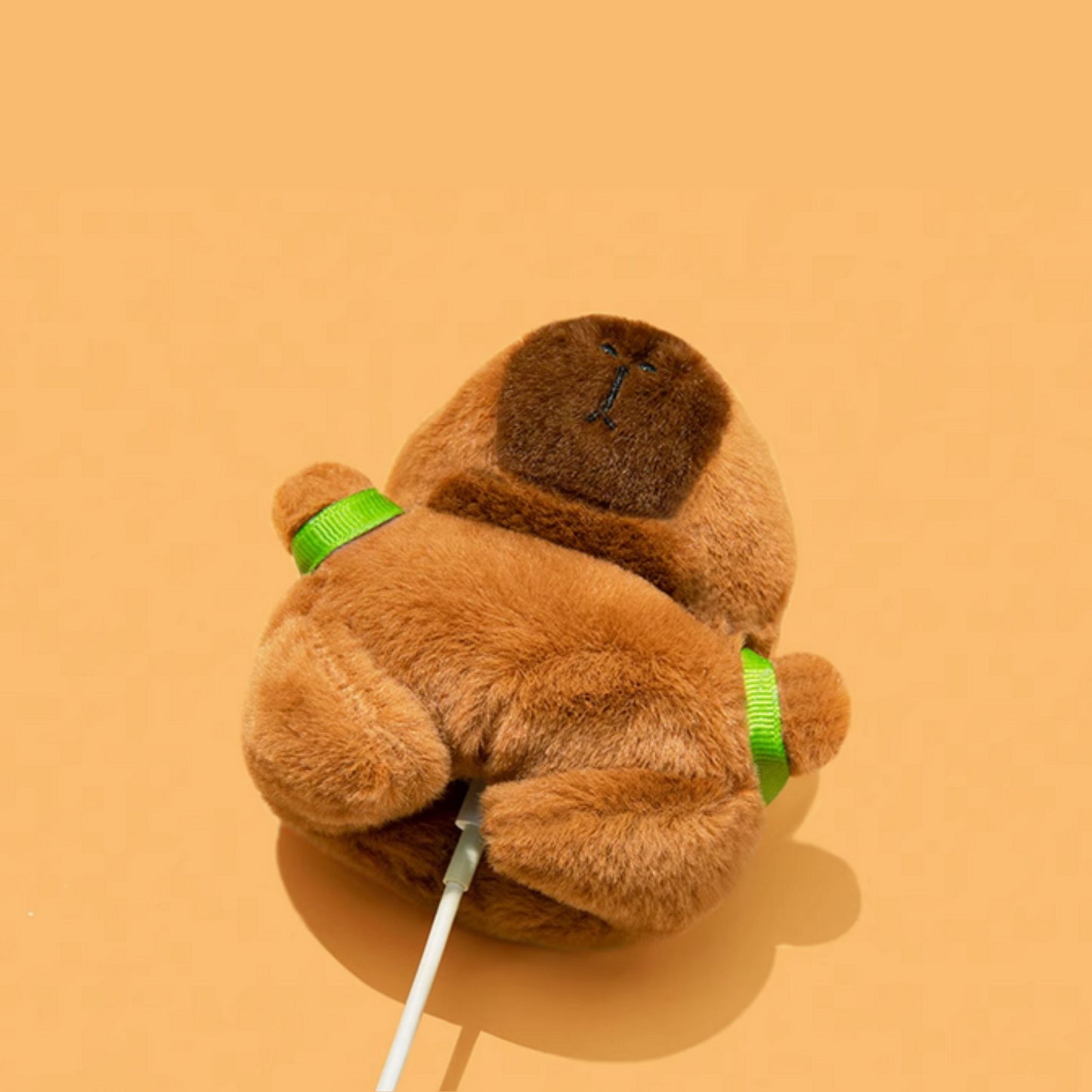 Capybara with Green Turtle Backpack AirPod Cover Case